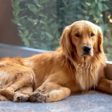 Pasha Suites Hotel Balıkesir